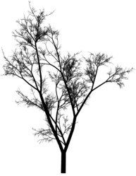 Similar image 392897