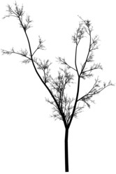 Similar image 392899