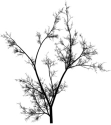 Similar image 392902