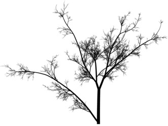 Similar image 392905