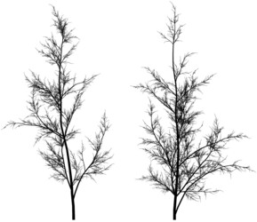 Similar image 392908