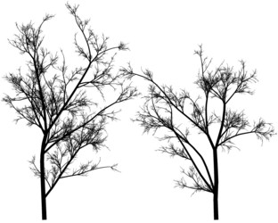 Similar image 392911