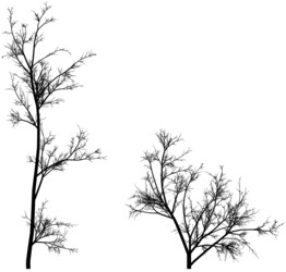 Similar image 392913