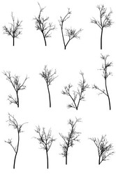 Similar image 392917