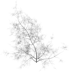 Similar image 392919