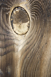 Similar image 393046