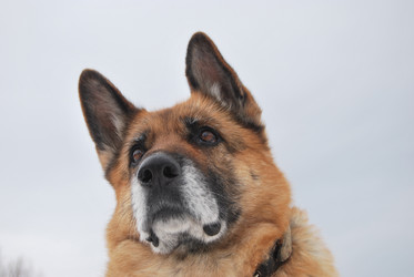 Similar image 393153