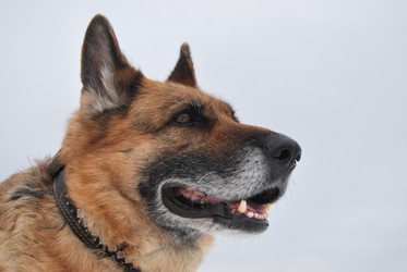 Similar image 393157