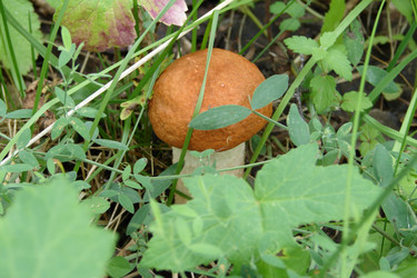 Similar image 393284