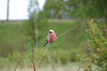 Similar image 393285