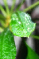 Similar image 393416