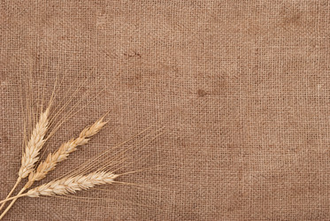 Similar image 393529