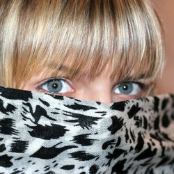 Similar image 393631