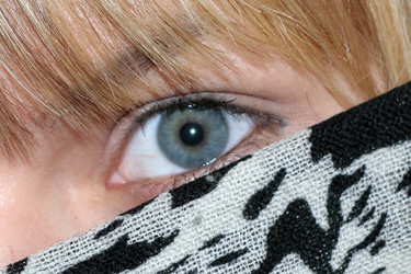 Similar image 393634