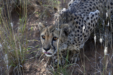 Similar image 393667