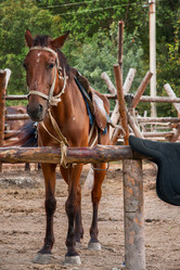 Similar image 393776