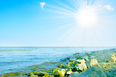 Similar image 394169