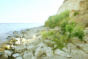 Similar image 394185