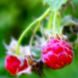 Similar image 394192