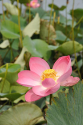 Similar image 394286