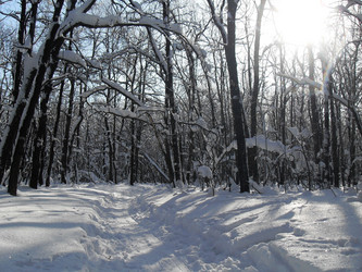 Similar image 394381