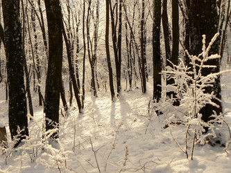 Similar image 394383