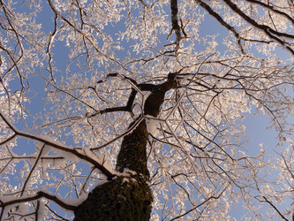 Similar image 394384