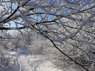 Similar image 394388