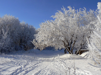 Similar image 394389