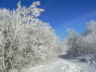 Similar image 394390