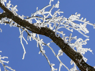 Similar image 394395