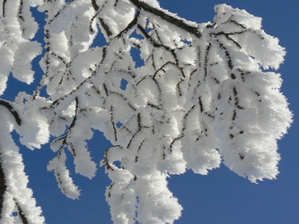 Similar image 394401