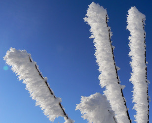 Similar image 394405