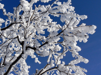 Similar image 394407