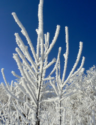 Similar image 394409