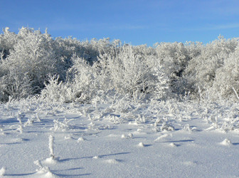 Similar image 394417