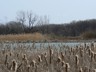 Similar image 394423