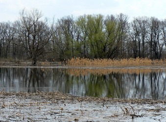 Similar image 394424