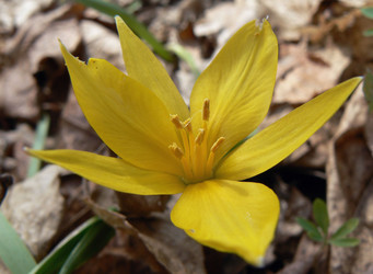 Similar image 394431