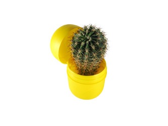 Similar image 394434