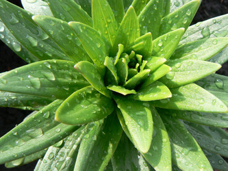 Similar image 394446