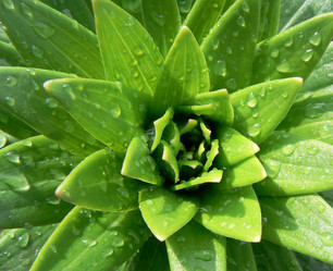 Similar image 394447