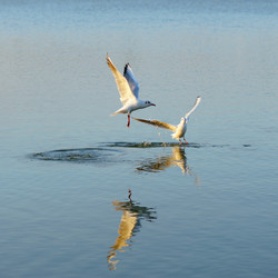 Similar image 394480