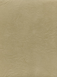 Similar image 394762