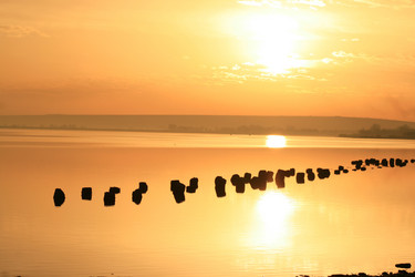 Similar image 394855