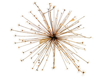 Similar image 394900