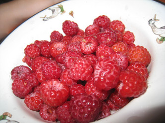 Similar image 395009