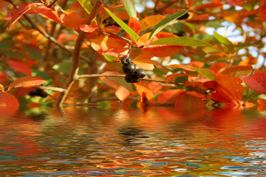 Similar image 395019