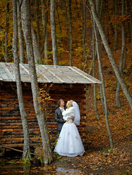 Similar image 395178