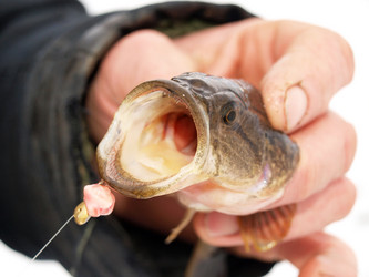 Similar image 395278